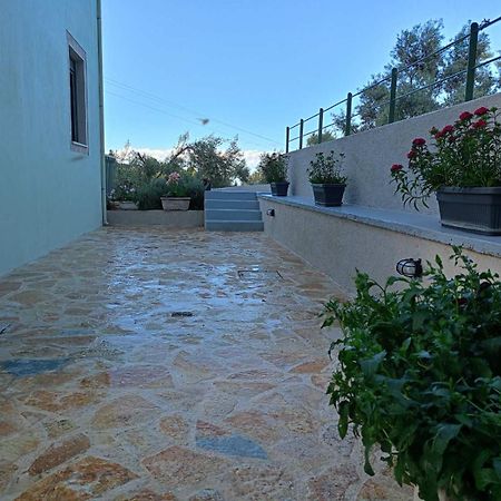 Armonia Villa Lefkada Kariótai المظهر الخارجي الصورة