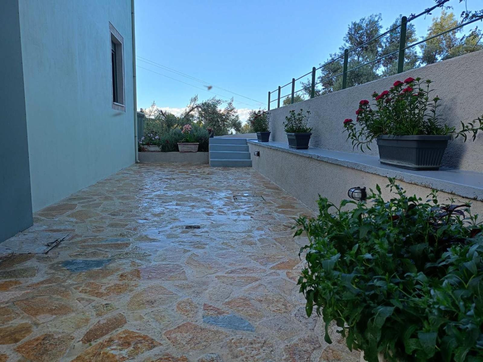 Armonia Villa Lefkada Kariótai المظهر الخارجي الصورة